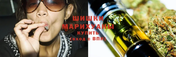 крисы Белокуриха