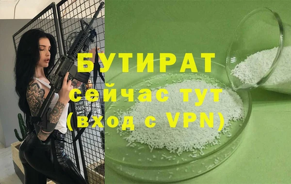 гидра Каменногорск